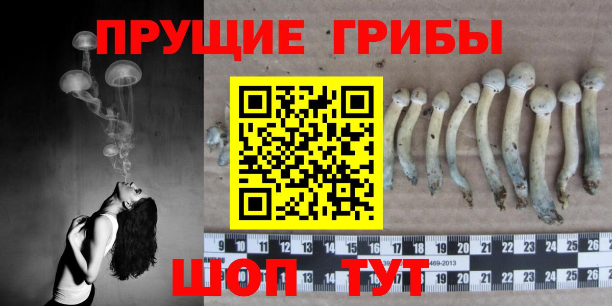 Псилоцибиновые грибы Cubensis  Вход с VPN  Губаха 