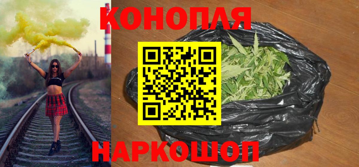 Каннабис индика Губаха
